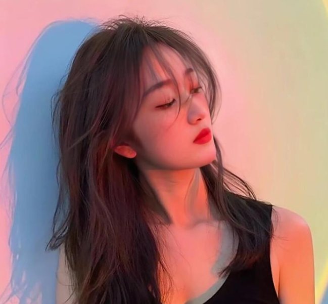 楚留香新传之鹦鹉传奇